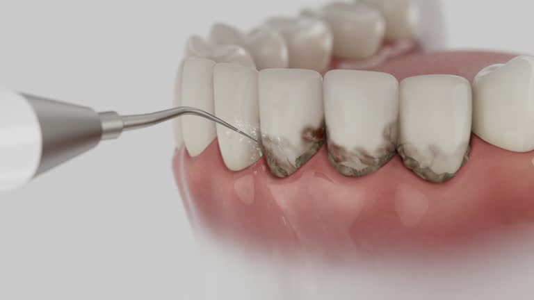 Reliable Dental contractor in Zebulon, NC by Dentist Open Now